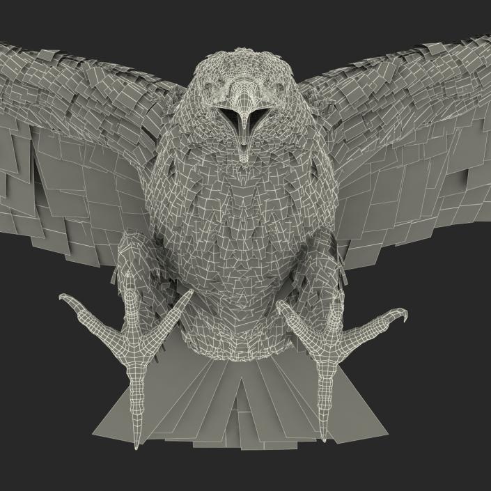 Golden Eagle Pose 6 3D model