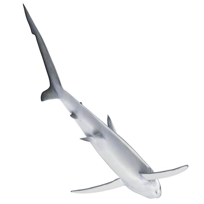 Blue Shark Rigged 3D