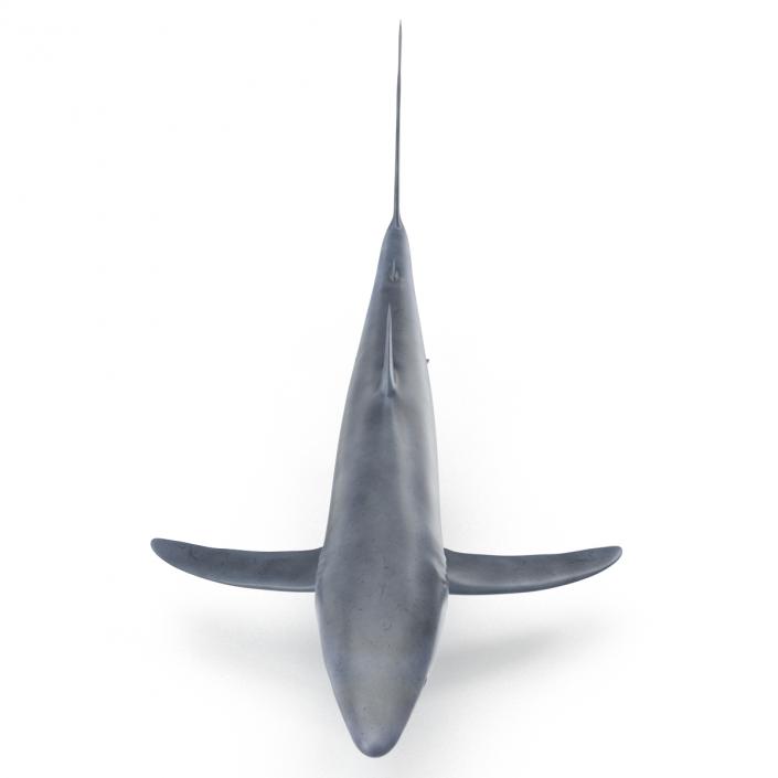 Blue Shark Rigged 3D