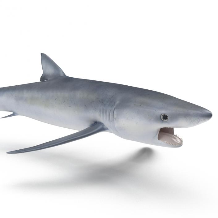 Blue Shark Pose 2 3D