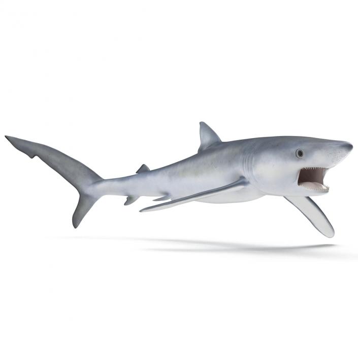 Blue Shark Pose 2 3D