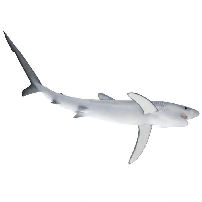 Blue Shark Pose 2 3D