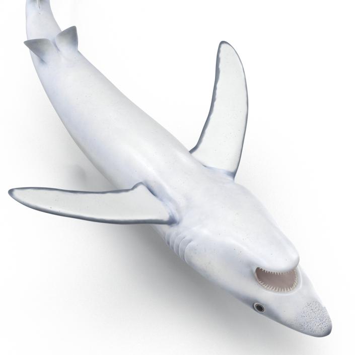 Blue Shark Pose 2 3D