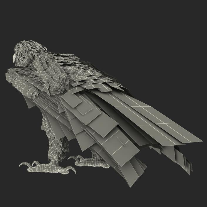Golden Eagle Pose 5 3D model