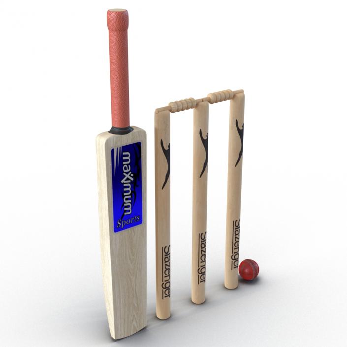 3D model Cricket Collection 2