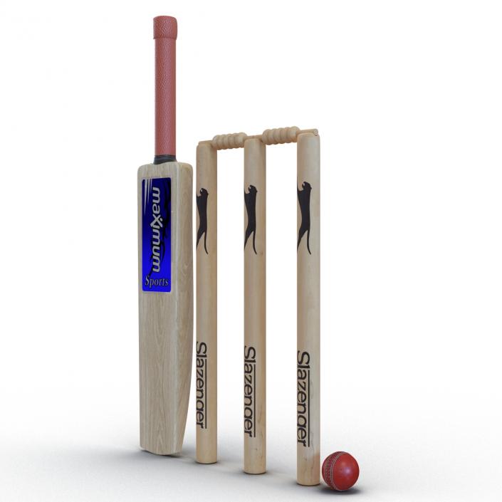 3D model Cricket Collection 2