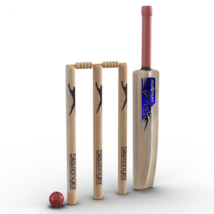 3D model Cricket Collection 2