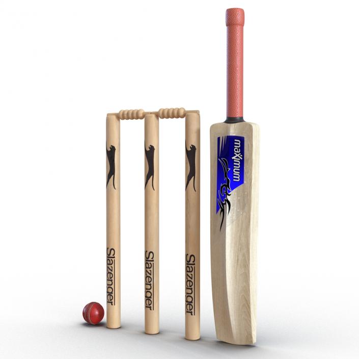 3D model Cricket Collection 2