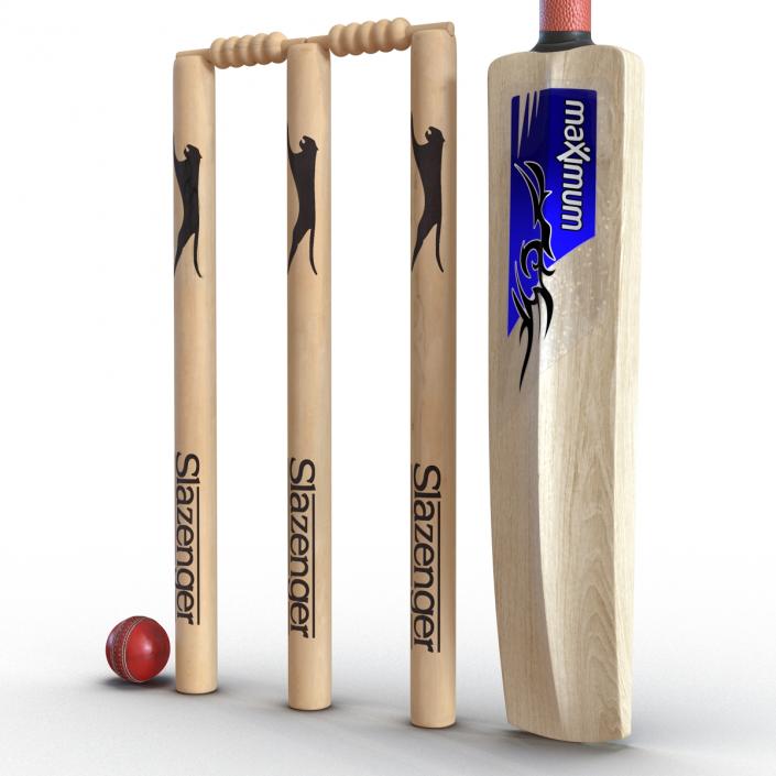 3D model Cricket Collection 2