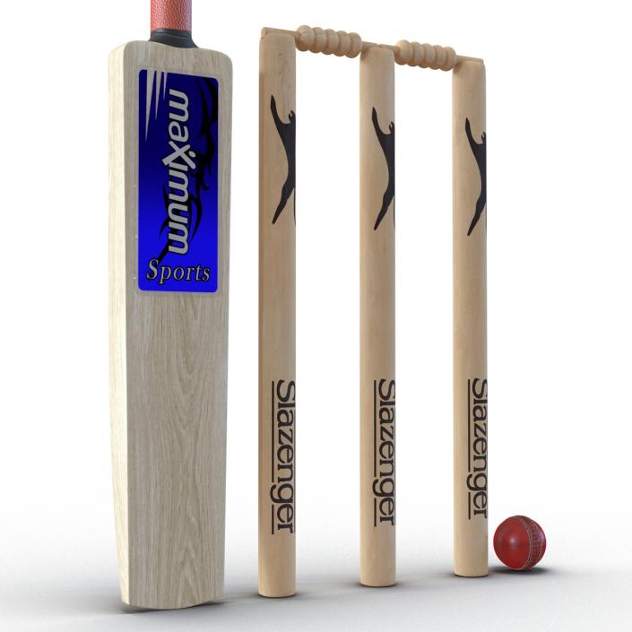 3D model Cricket Collection 2