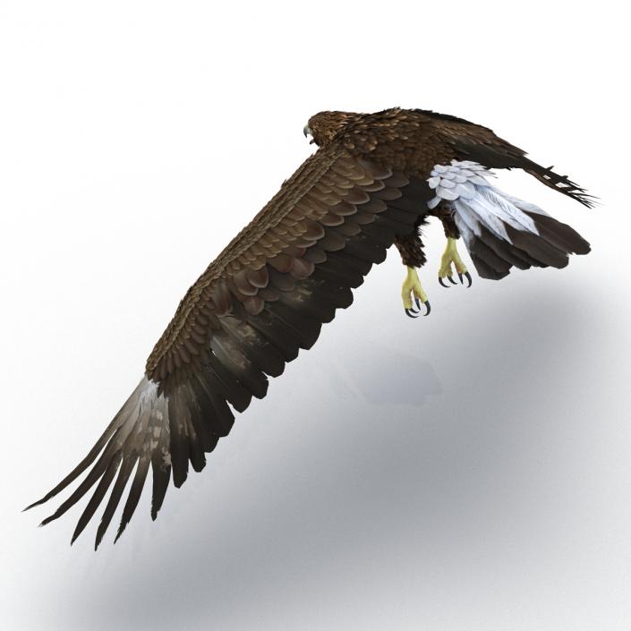 Golden Eagle Pose 4 3D model