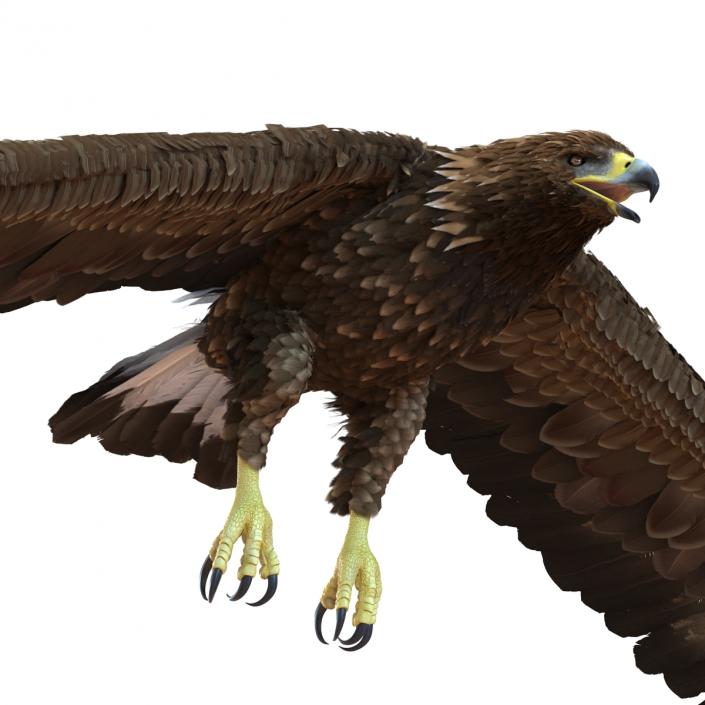 Golden Eagle Pose 4 3D model