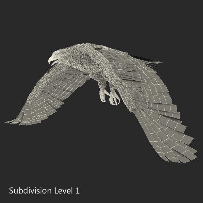 Golden Eagle Pose 4 3D model