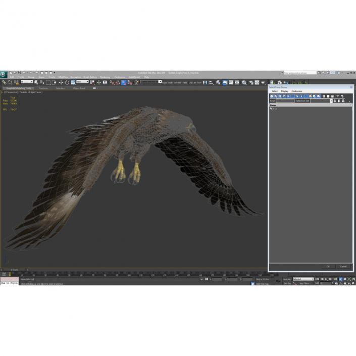 Golden Eagle Pose 4 3D model