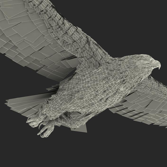 Golden Eagle Pose 3 3D model