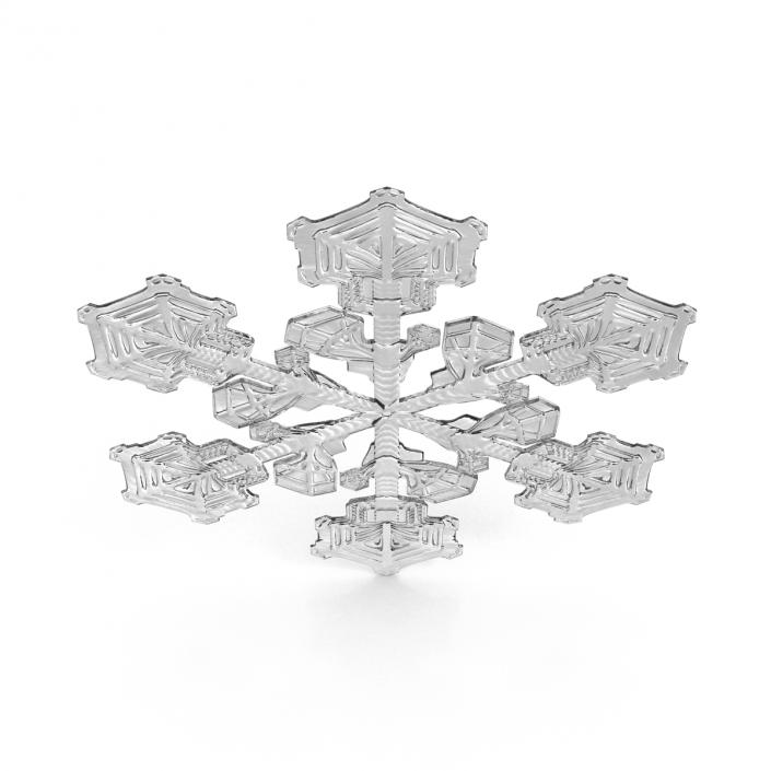 3D Snowflake 2