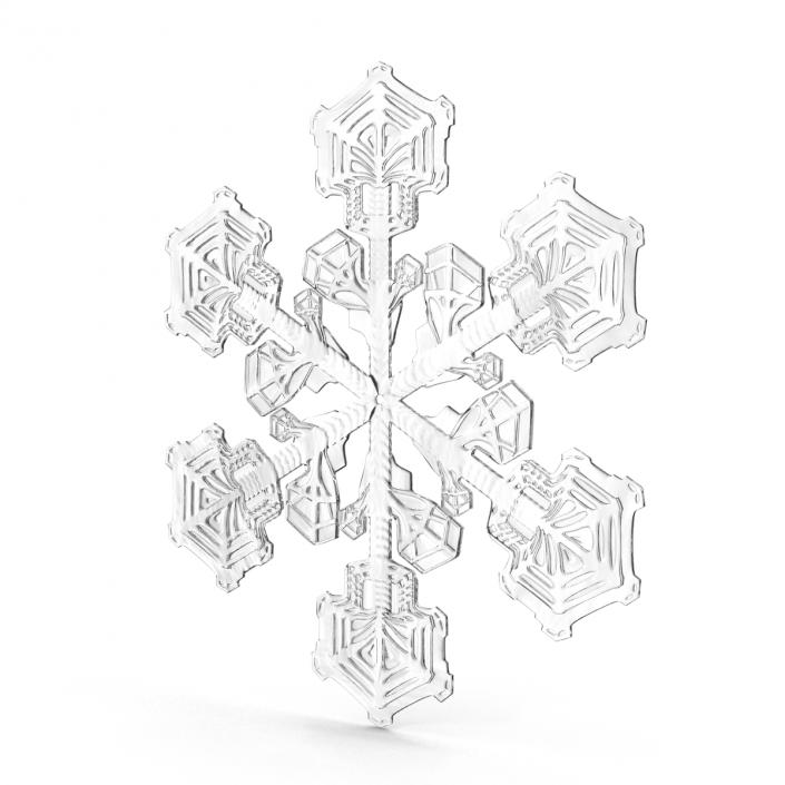 3D Snowflake 2