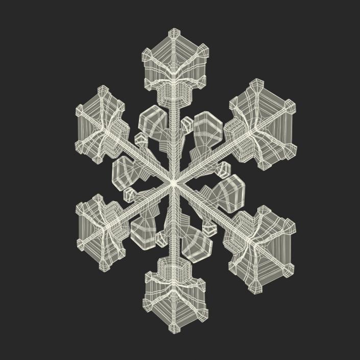 3D Snowflake 2