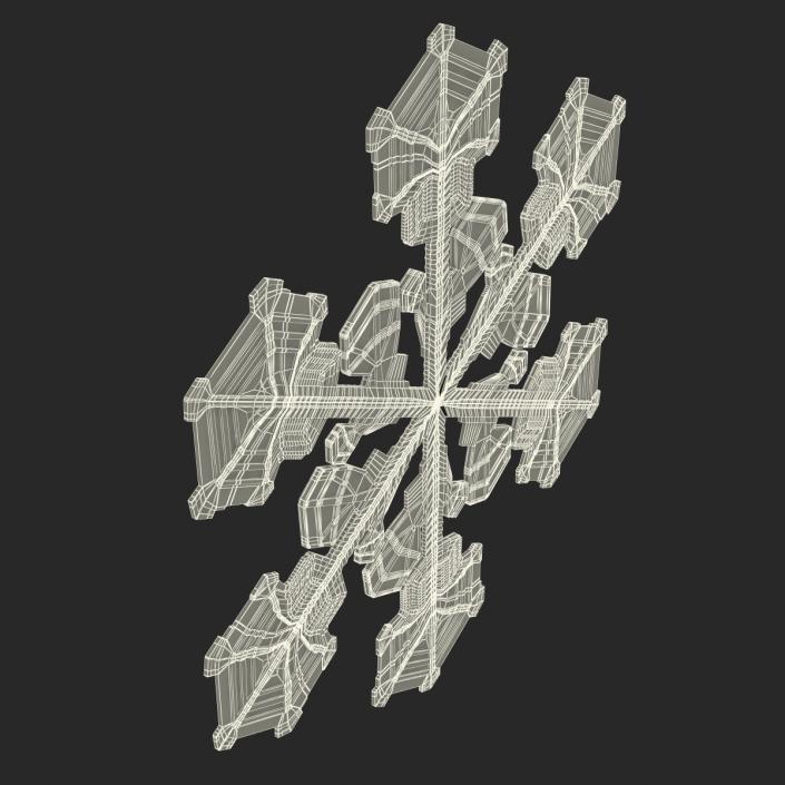 3D Snowflake 2