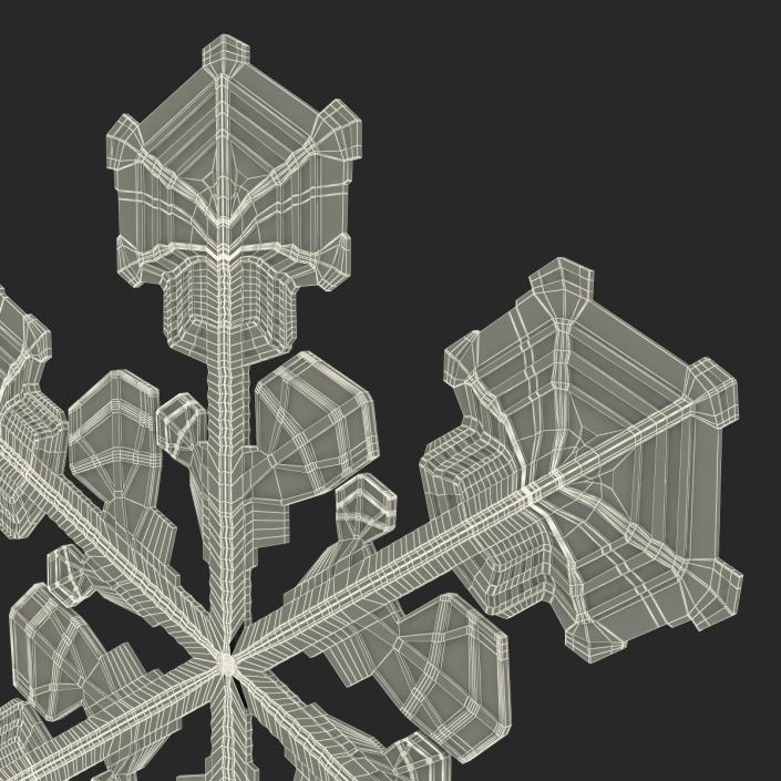 3D Snowflake 2