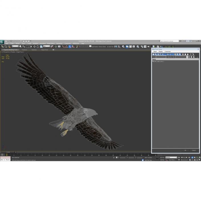 Bald Eagle Pose 7 3D