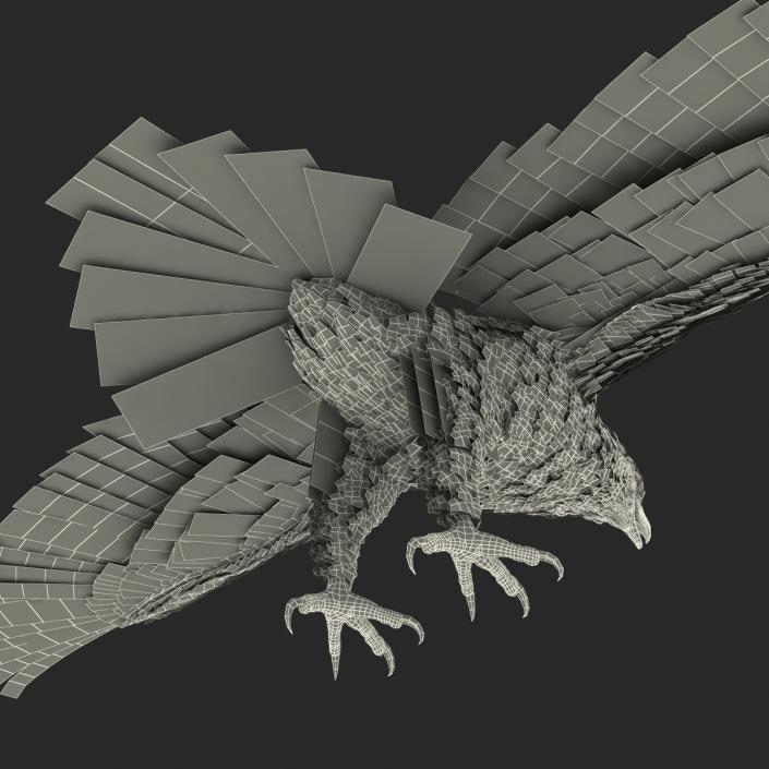 Bald Eagle Rigged 3D