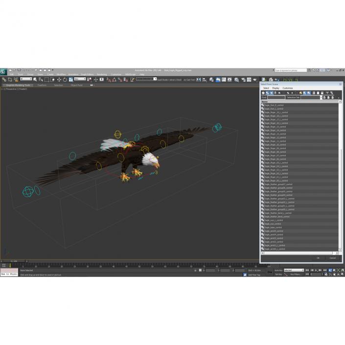 Bald Eagle Rigged 3D