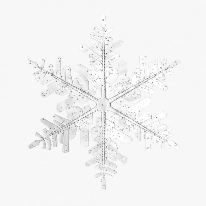 3D Snowflake 3