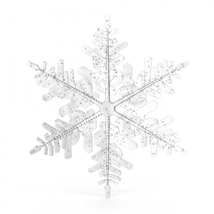 3D Snowflake 3