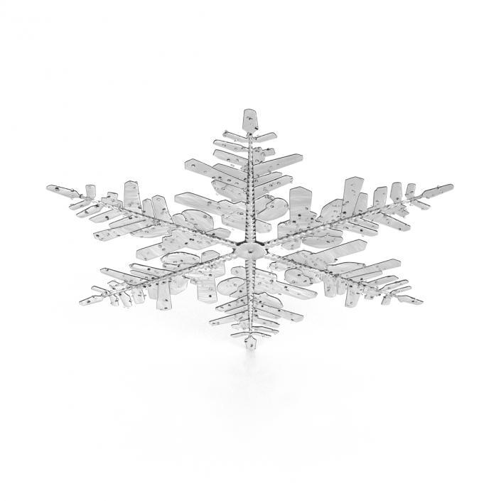 3D Snowflake 3