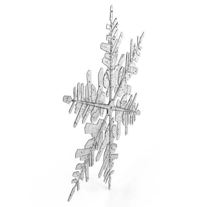 3D Snowflake 3