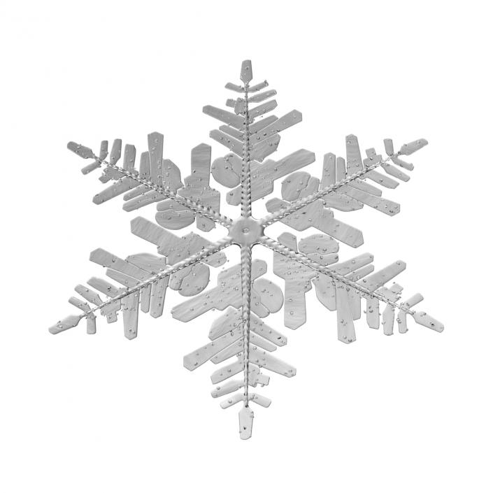 3D Snowflake 3