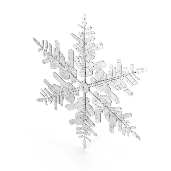 3D Snowflake 3