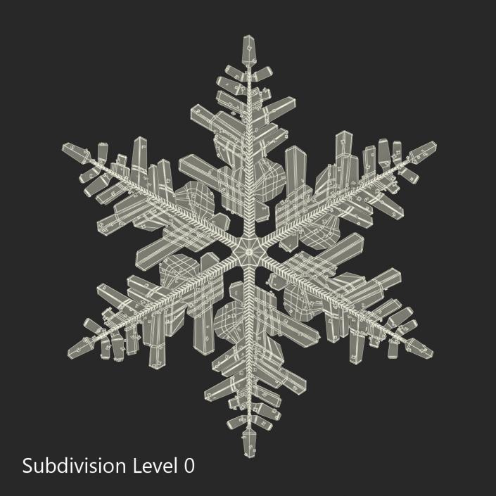 3D Snowflake 3