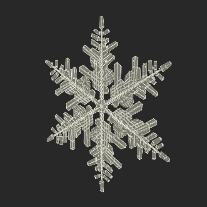 3D Snowflake 3