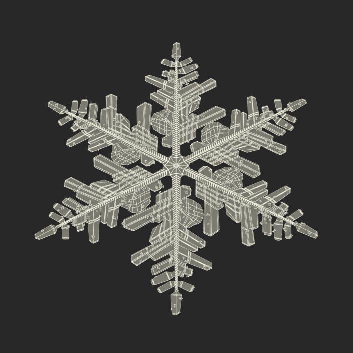 3D Snowflake 3