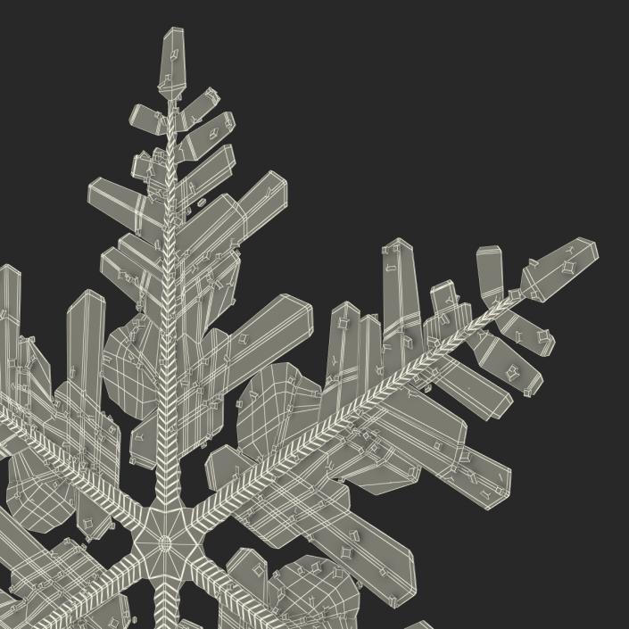 3D Snowflake 3