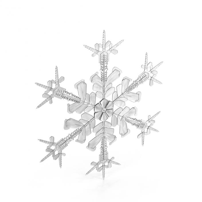 3D Snowflake 4