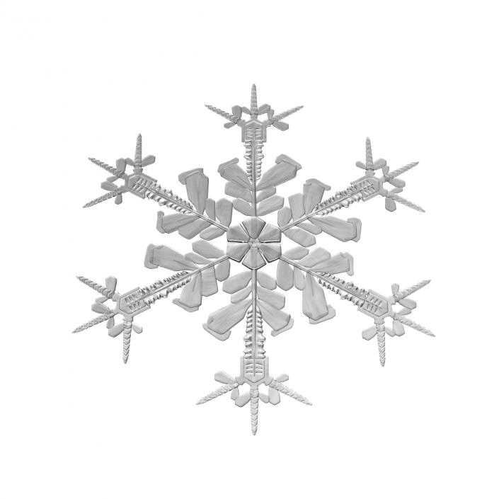 3D Snowflake 4