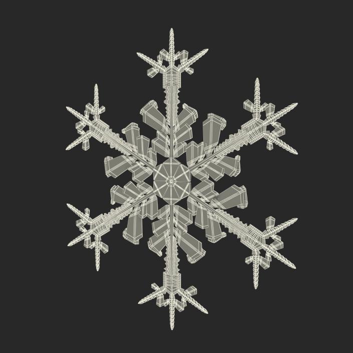 3D Snowflake 4