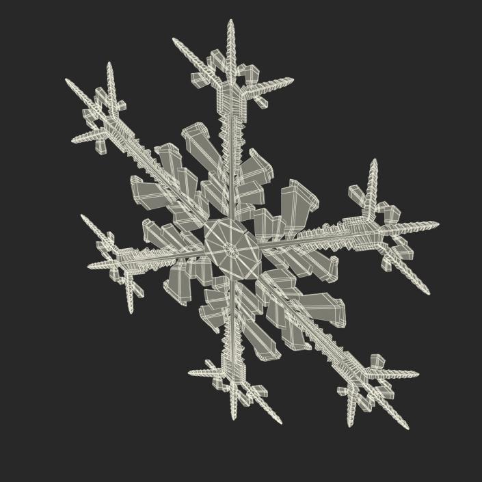 3D Snowflake 4