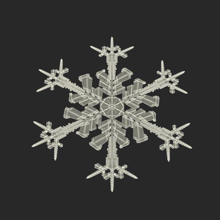 3D Snowflake 4