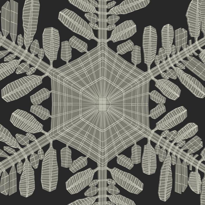 3D Snowflake 5