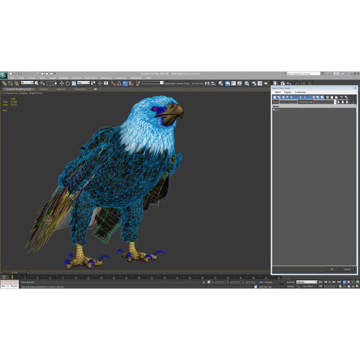 Bald Eagle Standing Pose 3D model