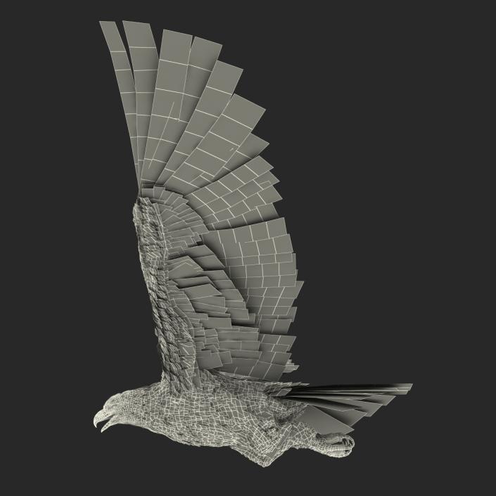 Bald Eagle Pose 4 3D