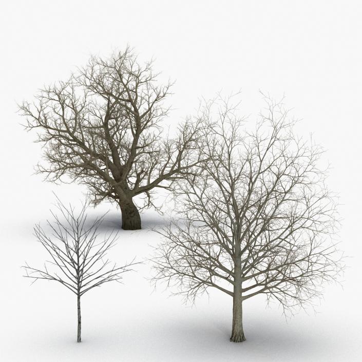 3D Winter Red Maple Trees 3D Models Collection model