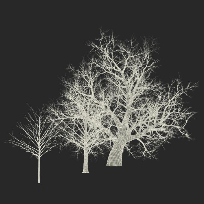 3D Winter Red Maple Trees 3D Models Collection model