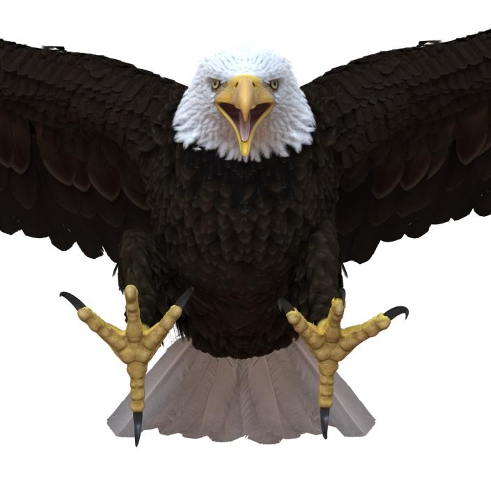 Bald Eagle Pose 2 3D