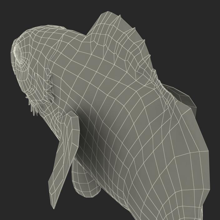 3D Clownfish Swimming Pose model