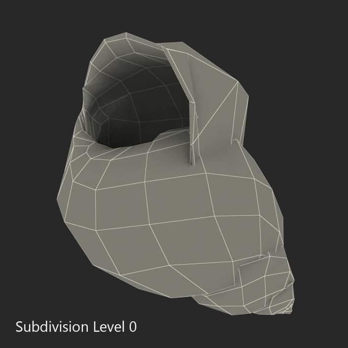 3D model Marginata Shell